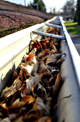 Die Dachdecker Magdeburg empfehlen die Dachwartung im Frühjahr, Sommer oder Herbst!